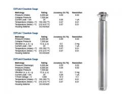 TORNADO-62 External RTD Memory Gauge